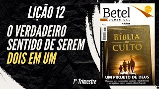 Lição 12 O verdadeiro sentido de serem dois em um  1° Trimestre de 2024  EBD BETEL [upl. by Jarus]