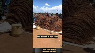 FISH MARKET IN BOR TOWN pojulu africa pojulutraditionaldance [upl. by Schonfeld]