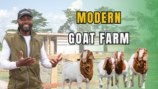 WHAT YOU NEED TO BUILD A MODERN GOAT FARM IN AFRICA AND BEYOND [upl. by Mattie]