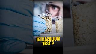 Tetrazolium Test [upl. by Sirovat]