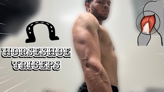 Horseshoe Triceps  Arm Day  2 [upl. by Pennington]