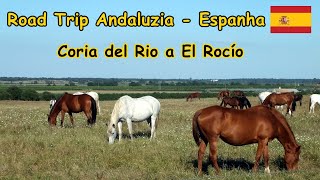 Road Trip de Coria del Rio a El Rocío  Andaluzia Espanha [upl. by Atelokin989]