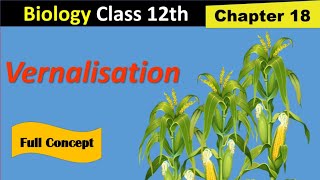 Vernalisation in plants  Fsc 2nd year biology  Kins academy [upl. by Grove507]