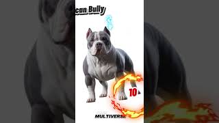 Top 15 Dog Breeds that Scare Me [upl. by Anelad]