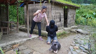 The thief broke into the farm I am very worried about when Tan will return Linh Tân Building [upl. by Mensch]