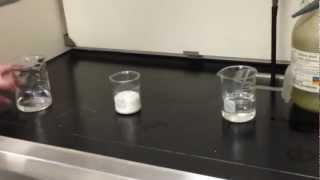 Demo 4 Dehydration of Sucrose with Sulfuric Acid [upl. by Ajile]