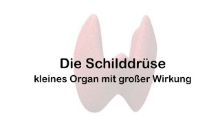 Die Schilddrüse – kleines Organ mit großer Wirkung [upl. by Retnuh]