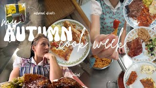 I Feel Like I Failed  a Hutterite Cook Week lots of changes  comfort foodvlog 169 [upl. by Ubana460]