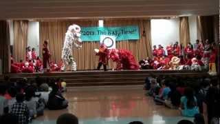 Chinese and Vietnamese New Year Snake  Lion Dance [upl. by Daus]