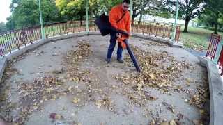 TIMBERPRO 26cc Blower Vac Mulching Demo [upl. by Xylon850]