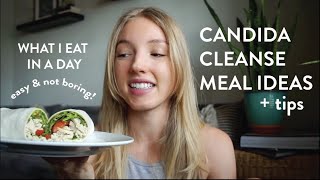 Candida Cleanse Meals  What I eat in a day  Candida Overgrowth [upl. by Eninnaej647]