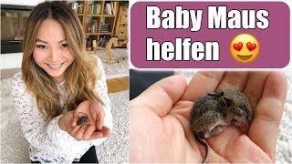 Eine Baby Maus in unserem Haus 😳 Reaktion der Kinder  Retten Füttern Aufziehen  VLOG  Mamiseelen [upl. by Rodablas]