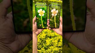 Oppo A3 Pro 5g vs Vivo T3 5g Camera Test oppo vivo shorts [upl. by Enelkcaj]