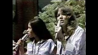 Starland Vocal Band  Afternoon Delight 1976 [upl. by Limber]