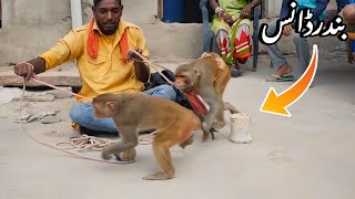 Haryanvi Bandar Bandariya Ka Khel  Comedy Video  Video Form My Phone  Funny Video Clip  2024 [upl. by Pinckney]