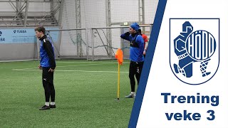 Video fra trening veke 3  Alag herrer [upl. by Leiad]