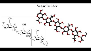 Lecture4Hyperchem Sugar Builder [upl. by Rawlinson261]