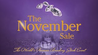 The 2024 FasigTipton November Sale [upl. by Guzel]