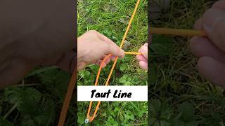 Must Know CAMPING Knots How to Tie A TAUT Line shorts howto knots [upl. by Ahtnams]