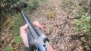 Quand la chasse tourne mal Un chasseur attaqué par un ours fenomenal survival survivor [upl. by Adnamahs]