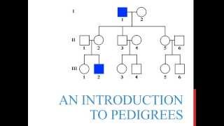 An introduction to genetics pedigrees [upl. by Lala328]