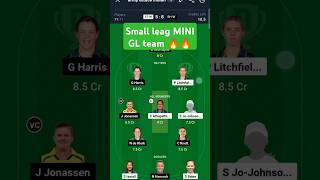 STW amp BHW WBBLDREAM 11 TEAM FANTASYTEAM SMALL LEAG dream11team ipl dream11ipl dream11fantasy [upl. by Suter573]