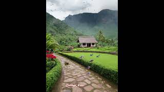 Serene Thatched Roof House in Tropical Paradise cottagenest nature cozycottage [upl. by Si]