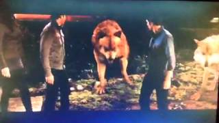 Breaking Dawn Part 1  Extended scene  Jacob heals [upl. by Boorman609]