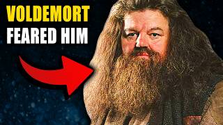 The 5 BEST Hagrid Theories Youll Ever Hear  Harry Potter Theory [upl. by Hallvard940]