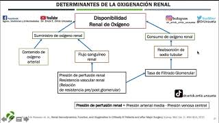 DETERMINANTES DE LA OXIGENACION RENAL [upl. by Ahseiyn]