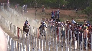 Corrida de Cavalos em Sumé DISPUTA ACIRRADA [upl. by Dituri]