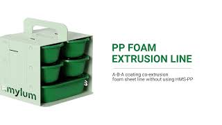 Amylum eco friendly food packaging solutionsPP Foam [upl. by Limbert]