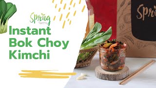 Instant bok choy kimchi [upl. by Aibos]