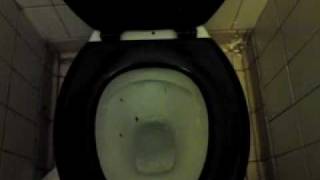 Parkstone Park High level toilets [upl. by Yrrot]