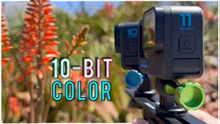 GoPro using 10Bit Color 🔥 Can you see a difference [upl. by Ynnam]