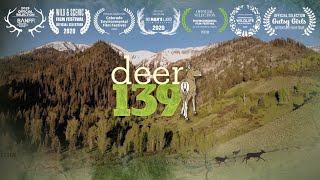 Deer 139 [upl. by Ttevi]