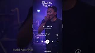 Dice Ailes ft Tiwa Savage  Hold Me Lyrics lyricstrybe afrobeats [upl. by Odrahcir]