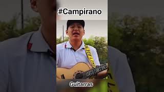 guerrero campirano guitarras musica rancherasconguitarra clasica [upl. by Dorlisa7]