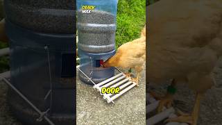 Amazing Chicken Feeding Machine 🙄 [upl. by Adnuahsor]