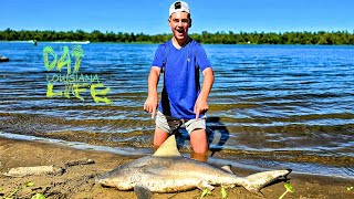 Shark Infested Waters  Atchafalaya River Sandbar [upl. by Nelleyram64]