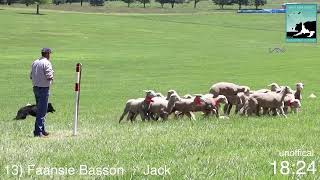 13 Faansie Basson Jack 2023 Kentucky Bluegrass Double Lift [upl. by Hillie]