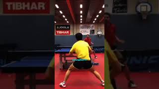 Table Tennis Best Training Point shorts [upl. by Halvaard]