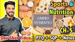 Sports and Nutrition  CH  5  CBSE Class 12th 2024 🔥  FREE Notes [upl. by Clarke]