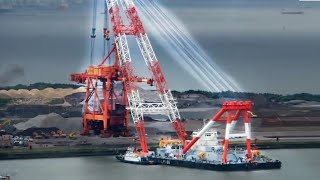 15 MOST Amazing Types of Cranes [upl. by Buckler989]