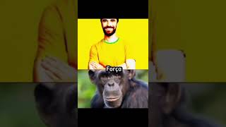 Brasileiro VS Chimpanzé [upl. by Ingrim]