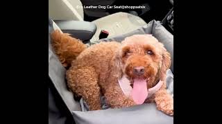 Eco Leather Dog Car Seat [upl. by Gaves]