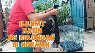 ILILIPAT NATIN NG KULUNGAN SI NORMAN kalapatids [upl. by Perr911]