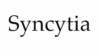 How to Pronounce Syncytia [upl. by Gwendolen473]