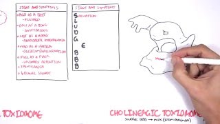 Cholinergic and Anticholinergic Toxicity Toxidrome [upl. by Atrice]