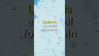 Unlocking Health Secrets LArginine BCAAs and Lysine Explained youtube healthandwellness [upl. by Nosreg]